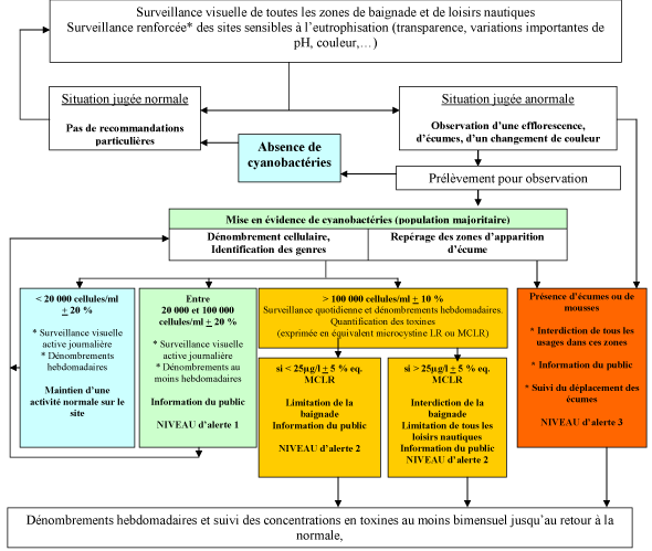 Quelles actions &agrave; mener en pr&eacute;sence de cyanobact&eacute;ries ?